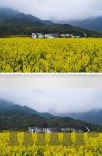 免费视频成人-免费视频成人，网络时代的文化边界与个人选择